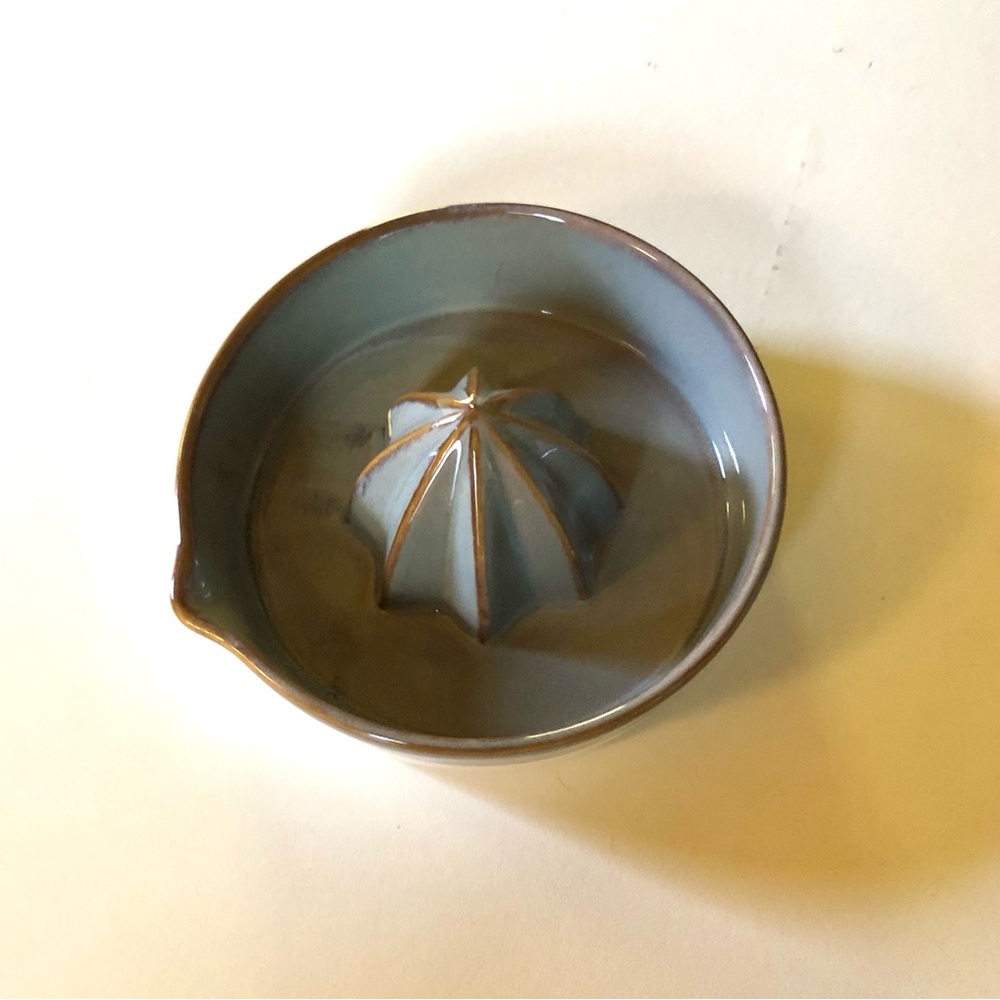 Indigo fruit juicer